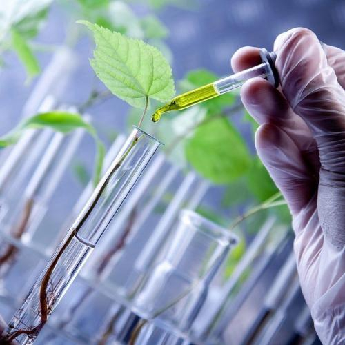 Công nghệ sinh học - “Cách tay đắc lực” của nông nghiệp công nghệ cao